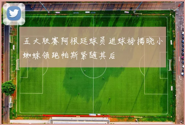 五大联赛阿根廷球员进球榜揭晓小蜘蛛领跑帕斯紧随其后